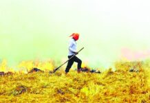 फसल अवशेषों में 2 बार आग लगाने वालेे किसानों के खिलाफ दर्ज की जाए एफआईआर:राघवेन्द्र फसल अवशेषों में आग