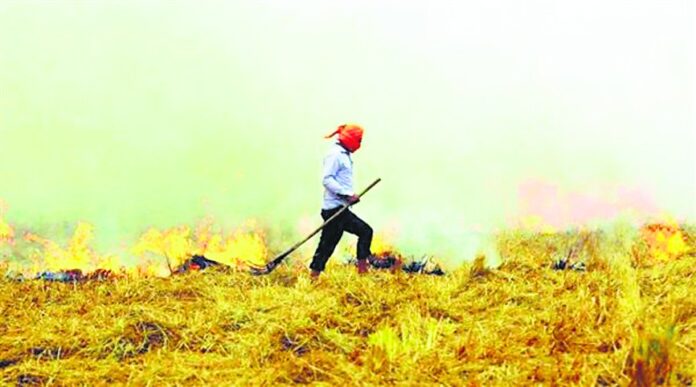 फसल अवशेषों में आग